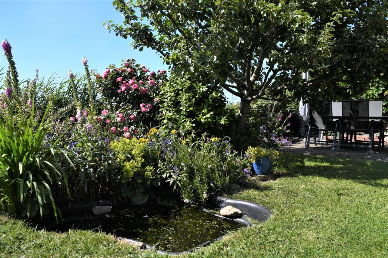 Wadden Eiland Bed En Breakfast Op Texel Oudeschild Εξωτερικό φωτογραφία